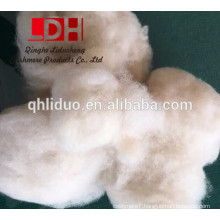 Chinese fine micron white sheep wool fiber